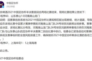 PG模拟器-足协针对河南违规使用球员说明 停赛将次回合执行